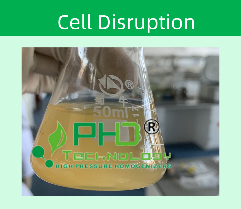 32167608.png 2-1 枯草芽孢桿菌782X678.png