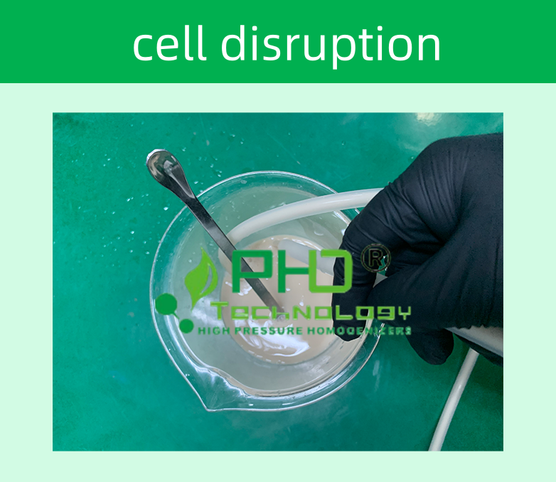 27831574.png 3-1 畢赤酵母782X678.png