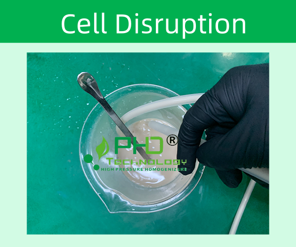 高壓細胞破碎原理與技術(shù)