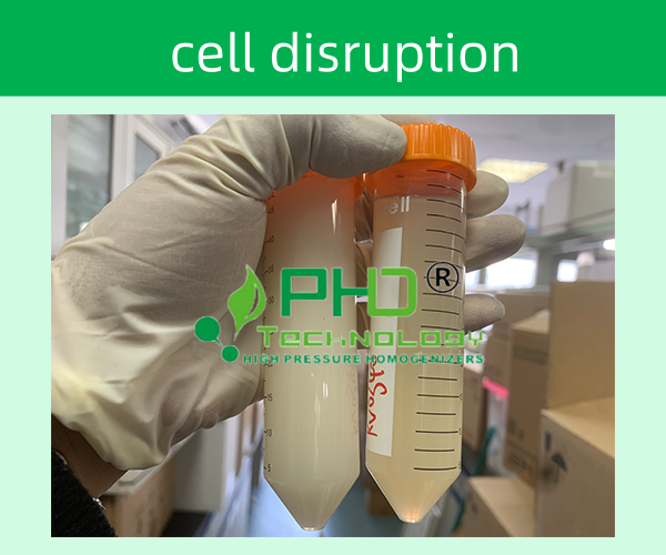 PhD高壓細(xì)胞破碎儀的優(yōu)勢和特點