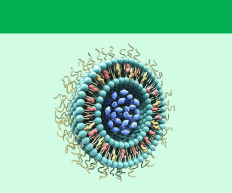 56744143.png 脂質(zhì)納米粒782X652.png