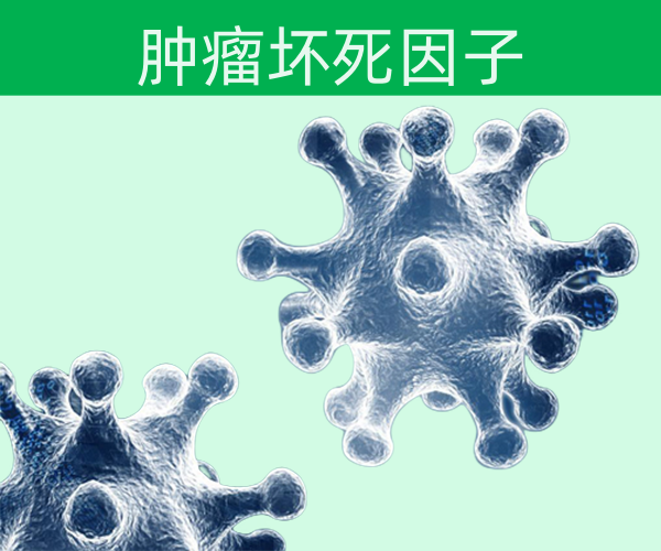 腫瘤壞死因子（TNF）