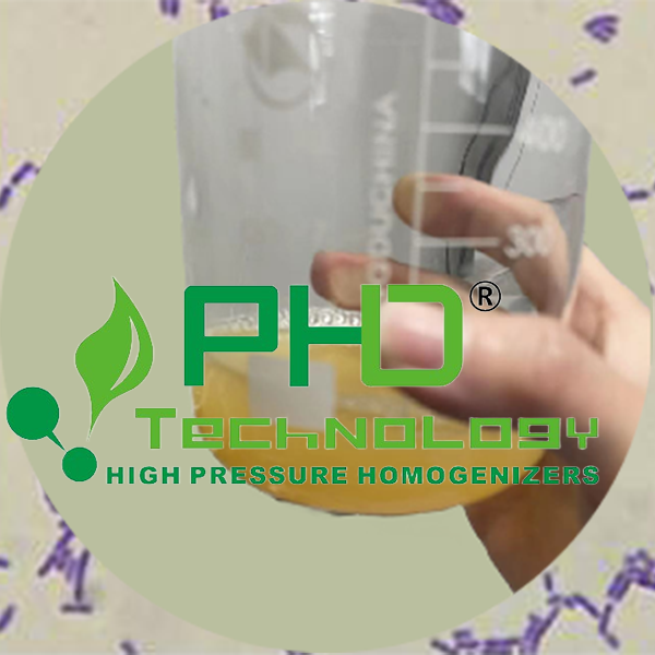 PhD高壓細胞破碎儀 | 乳酸菌破壁