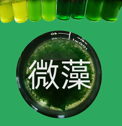 PhD細胞破壁機 | 提取生物活性物質(zhì)