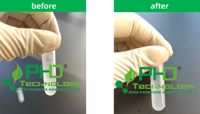 77921697.png 1-3 均質(zhì)對(duì)比-PhD1.png