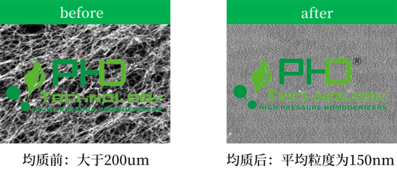 3、均質(zhì)效果2-均質(zhì)前后對比數(shù)據(jù)1-PhD.png